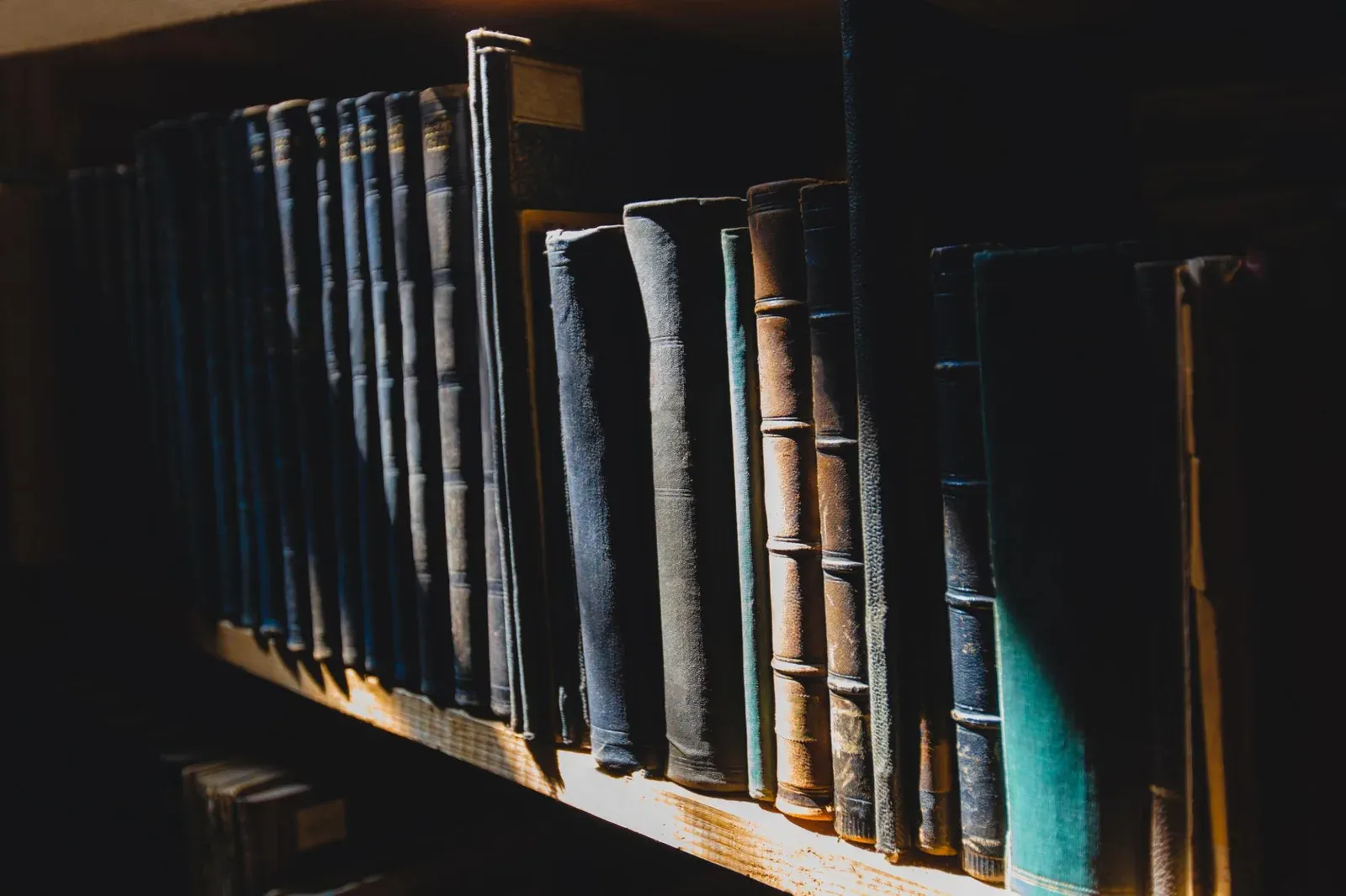 Library and Society