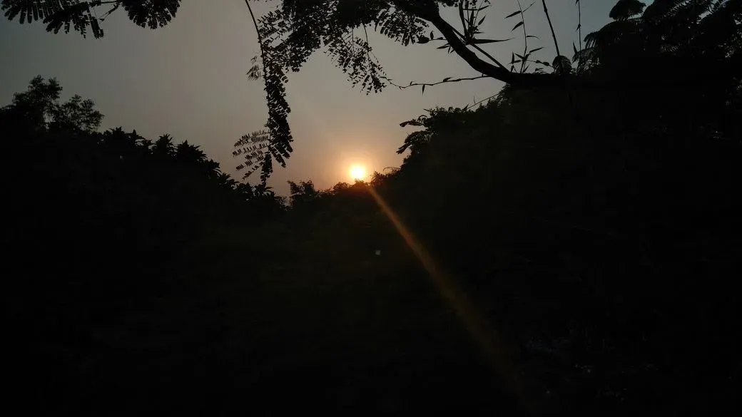 वो जंगल (That forest)